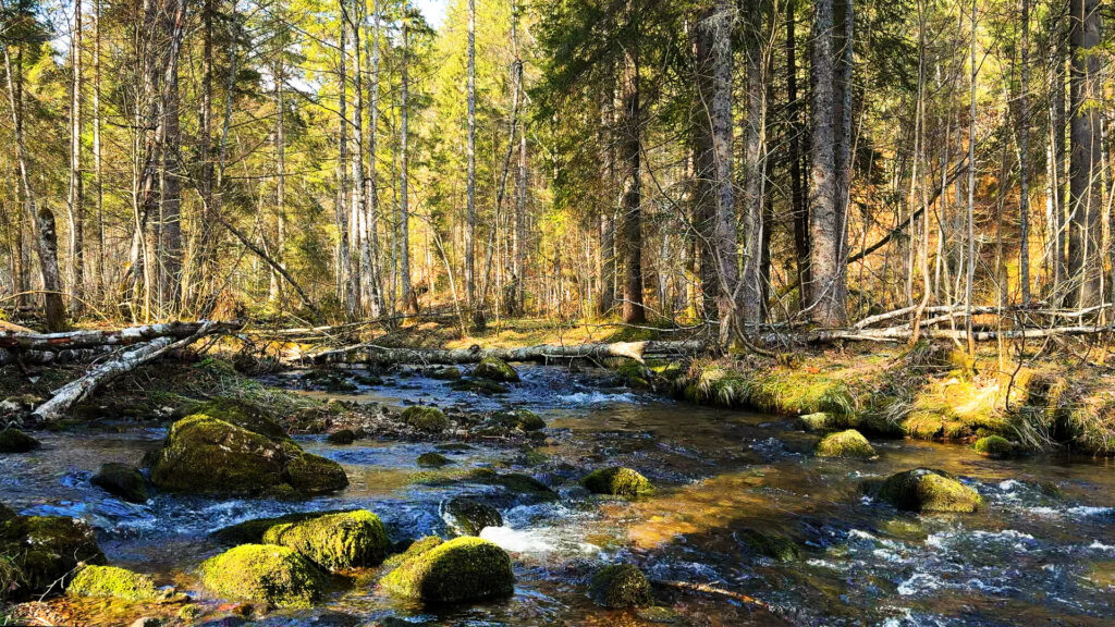 Bedtime-River-Melody-Relaxing-Alpine-River-Sounds-for-Better-Sleeping-River-Nature-Sleep-Video-NaturSpezl-Water-Sounds-for-Relaxation-Relieve-Stress-Meditation-Calming-Soothing-Baby-2