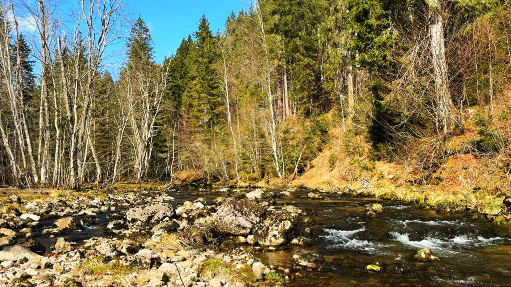 Bedtime-River-Melody-Relaxing-Alpine-River-Sounds-for-Better-Sleeping-River-Nature-Sleep-Video-NaturSpezl-Water-Sounds-for-Relaxation-Relieve-Stress-Meditation-Calming-Soothing-Baby-3