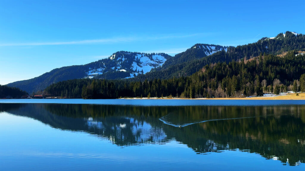 Peaceful-Nature-Morning-Walk-Around-Lake-Schliersee-in-Germany-Immersive-Virtual-Lake-Tour-1-Hour-Stroll-Hiking-Nature-Sounds-Relaxation-Relaxing-Relax-Stress-Relief-Calming-Soothing-Serenity-2