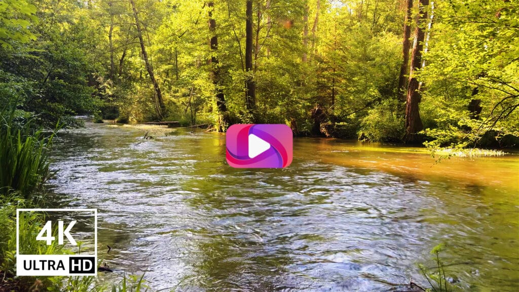 River-sounds-and-birds-for-sleeping-Relaxing-forest-river-ambience-Nature-stream-sound-for-sleep-aid-4K-Brook-Creek-Relaxation-Water-Sounds-Relax-Stress-Relief-Calm-Meditation