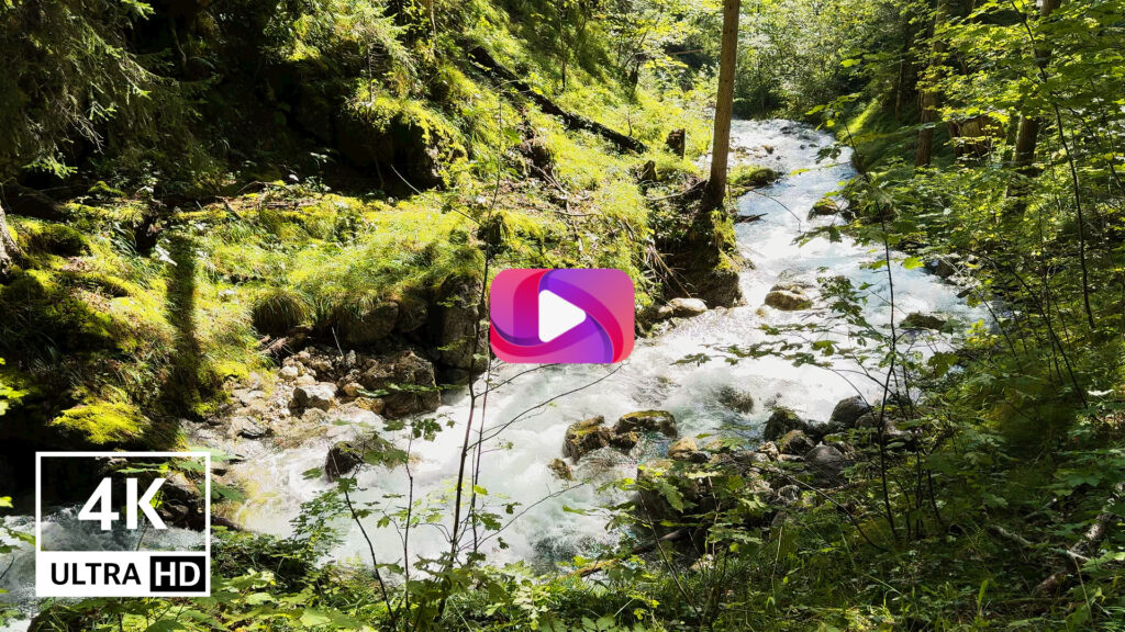 Secret Forest River Nature Sounds - Water Stream and Birdsong Ambience for Relaxation and Sleep - 3 Hours 4K - NaturSpezl Relaxing Naturescapes - Thumbnail Homepage