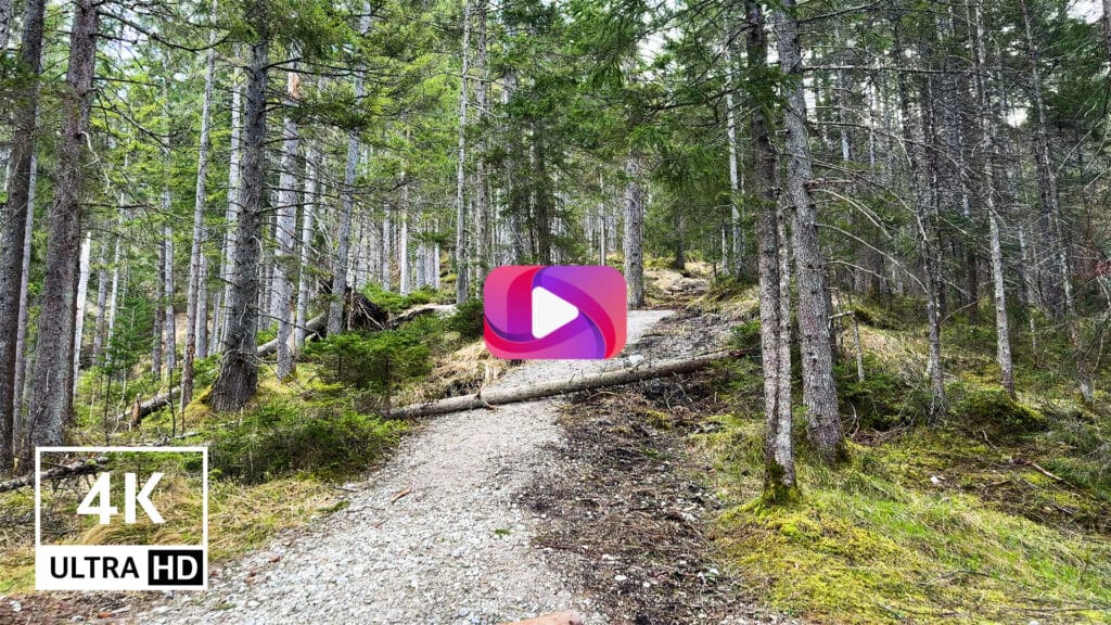 Virtual-Walking-on-Natures-Trails-in-4K-Hiking-in-Alpine-Mountains-Immersive-Alps-Tour-in-Bavaria-Hike-Walk-Adventure-Scenic-Natural-Sounds-Forest-Birds-Trees-Scenery-Relaxing-Outdoor