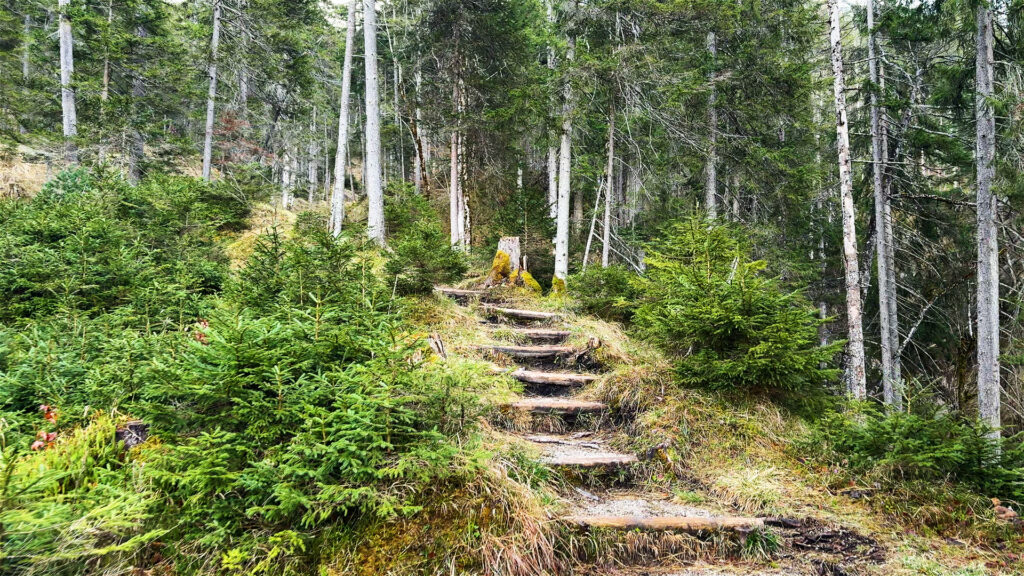 Virtual-Walking-on-Natures-Trails-in-4K-Hiking-in-Alpine-Mountains-Immersive-Alps-Tour-in-Bavaria-Hike-Walk-Adventure-Scenic-Natural-Sounds-Forest-Birds-Trees-Scenery-Relaxing-Outdoor-3