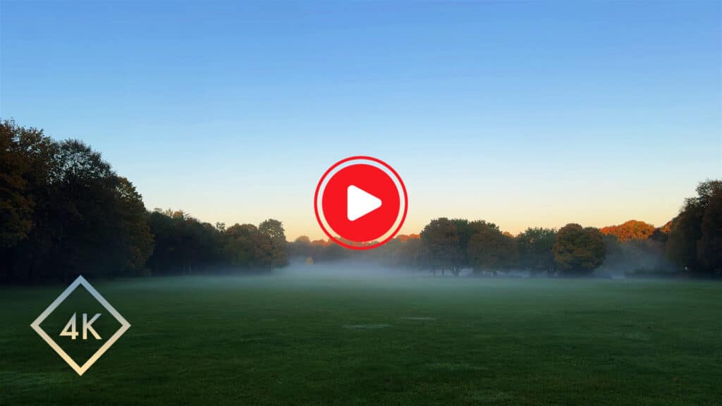 Peaceful Misty Morning Birdsong Sounds for Relaxation - Calming Dawn Nature Ambience - Homepage Thumbnail V2