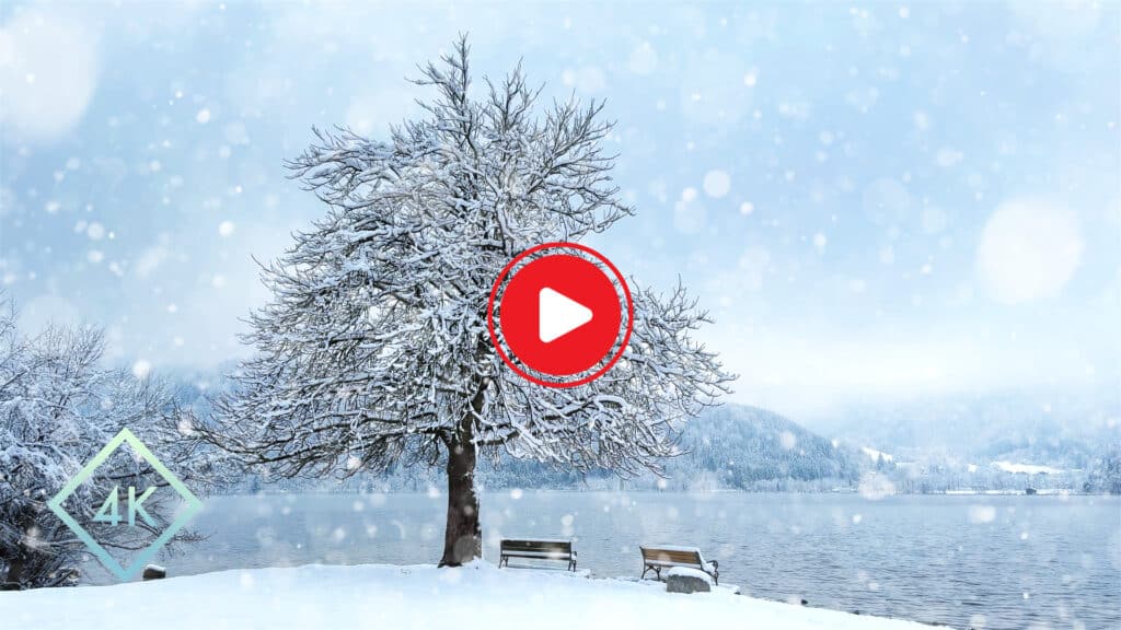 8-Hour-Snowfall-Nature-Retreat-Relaxing-Snowy-Winter-Lake-Ambience-Homepage-Thumbnail-V1