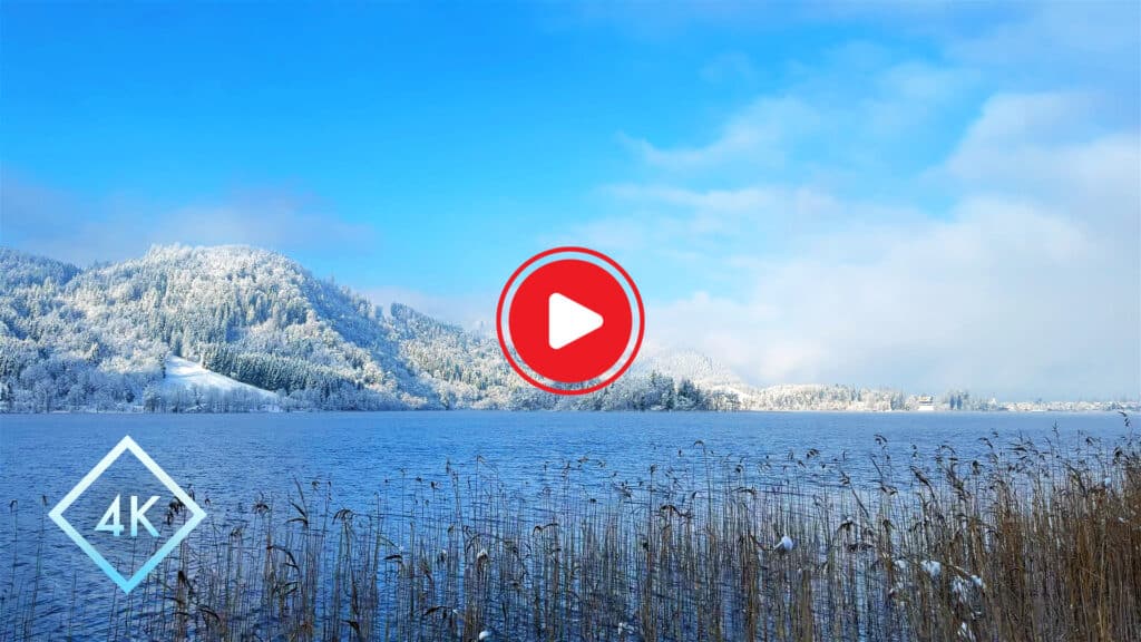 8 Hour Winter Lake Nature Retreat - Windy Lakeside Ambient for Sleep - Homepage Thumbnail V1