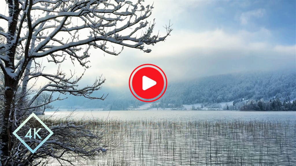 Frosty Winter Lake Nature (No Music) Icy Wind Ambient Sounds for Sleep - Homepage Thumbnail V1