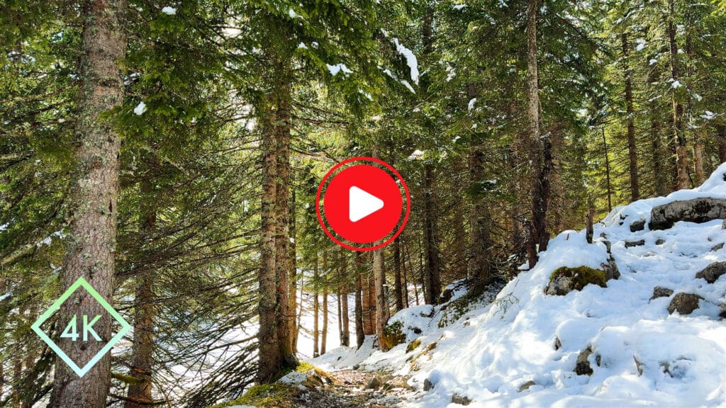 Relaxing 8 hours melting snow soundscape. Calming nature retreat. Homepage Thumbnail V1