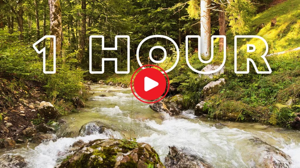 NATURE SOUND of a MOUNTAIN RIVER - Relax, Sleep, Study, Meditate (4K) Homepage Thumbnail V1